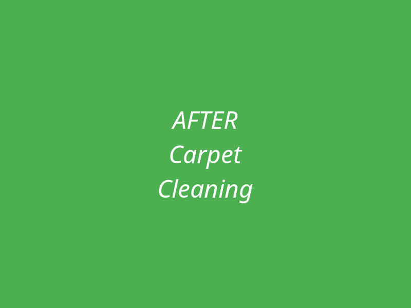 Carpet Cleaning After